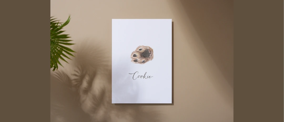 Pet Paw Watercolor Illustration.jpg