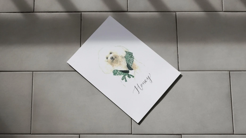 Pet Portrait.jpg